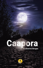 Imagem de capa local